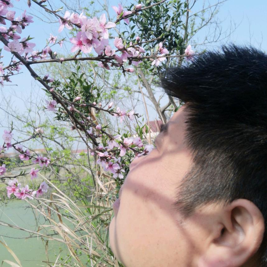 住房医生房子修缮