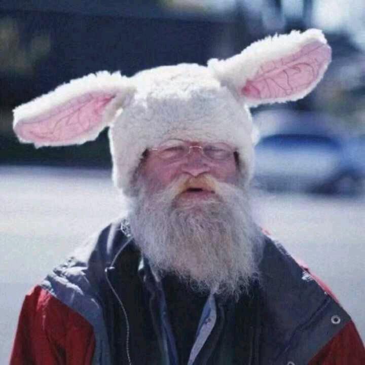 迷人的苦茶子（女巫版）