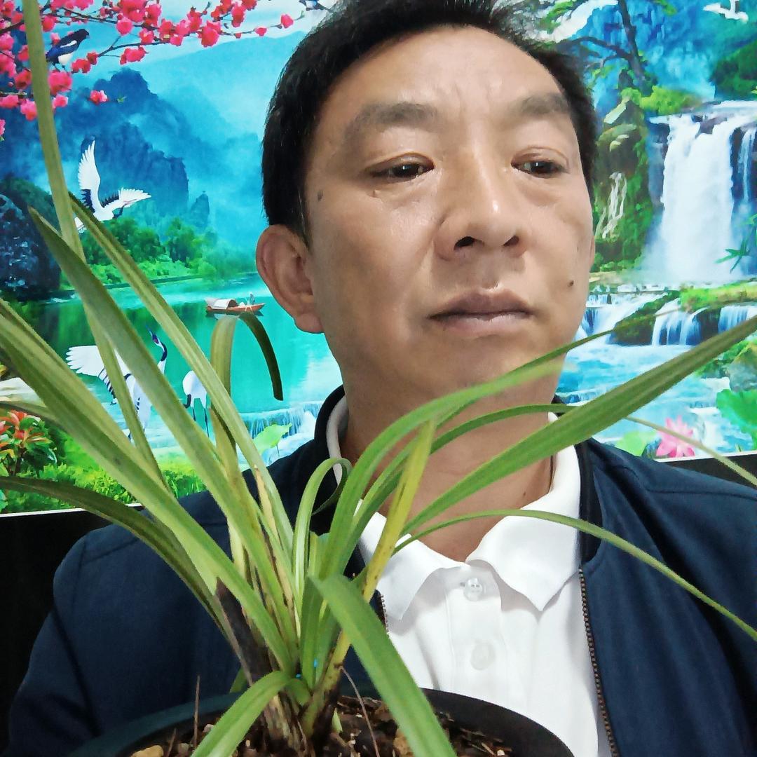 李小龙