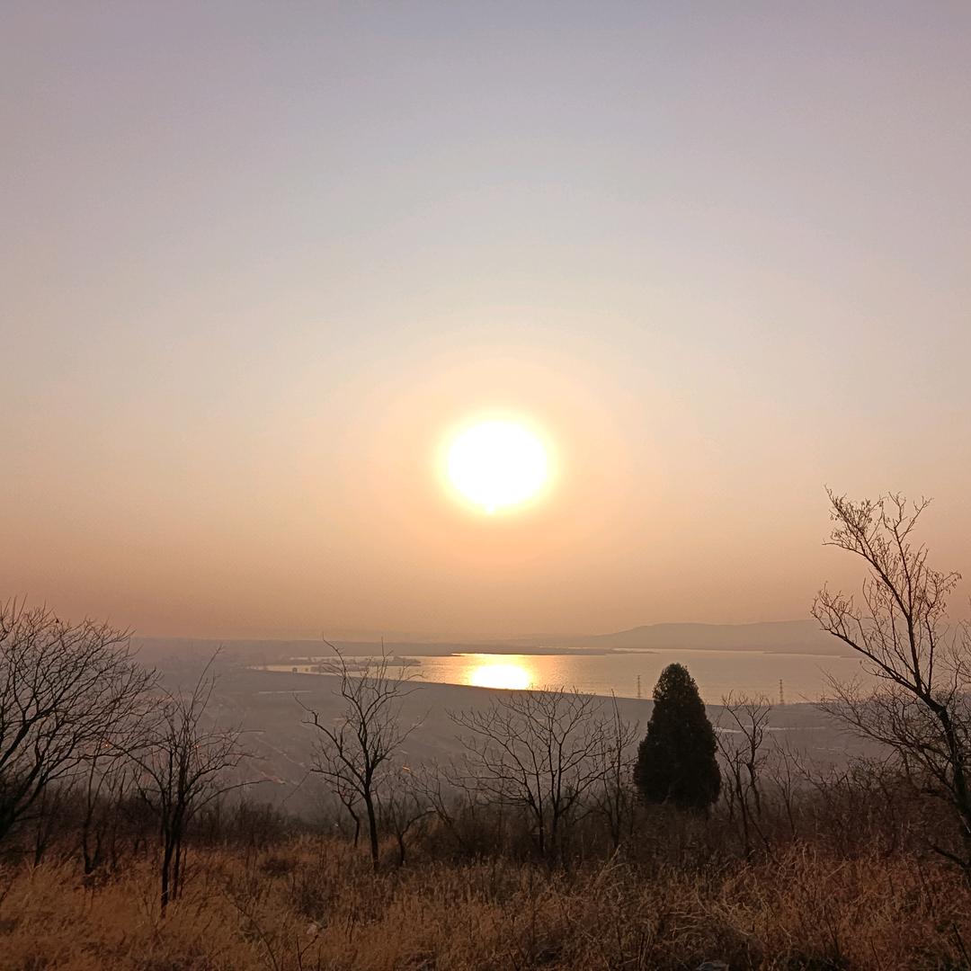 此情不渝