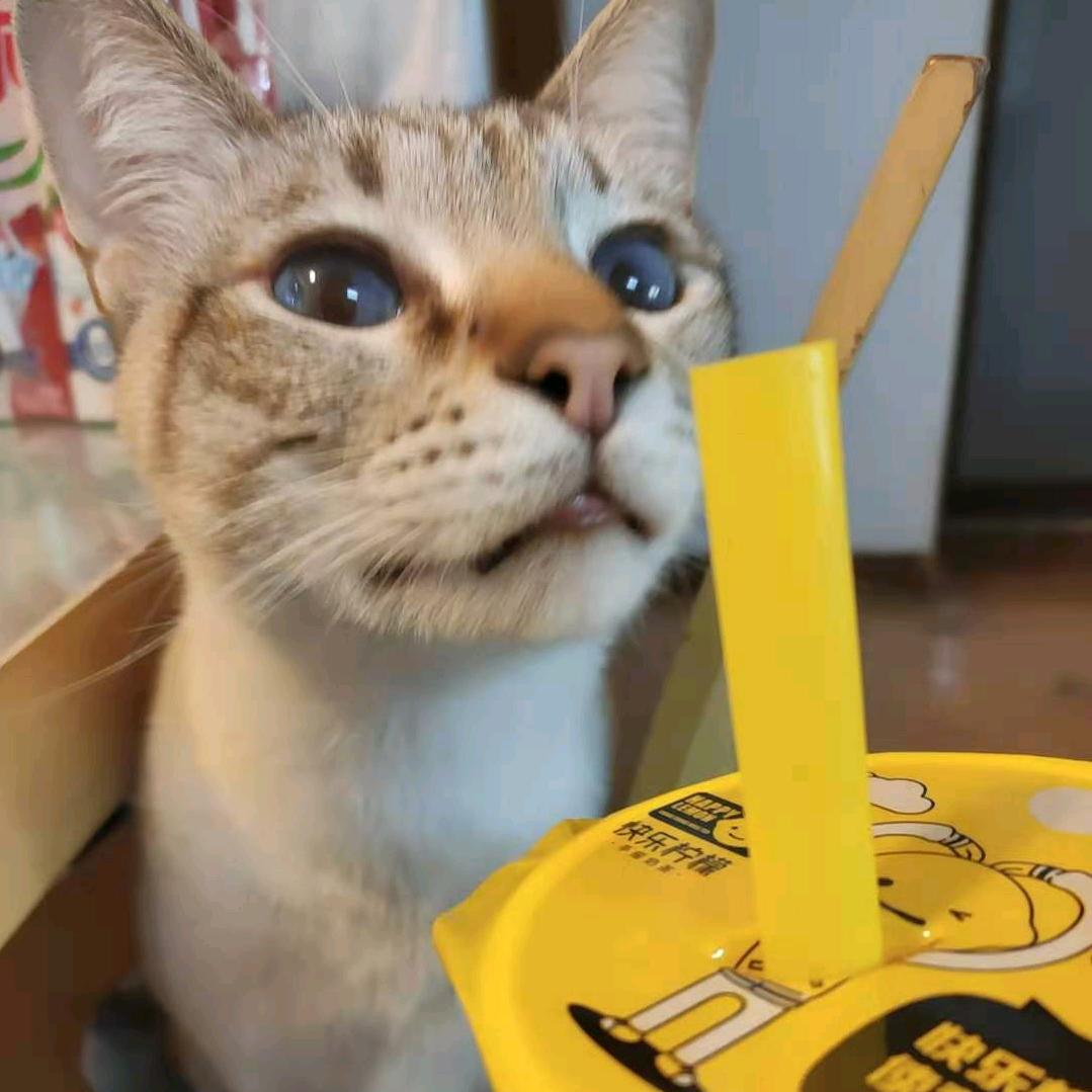 小半天