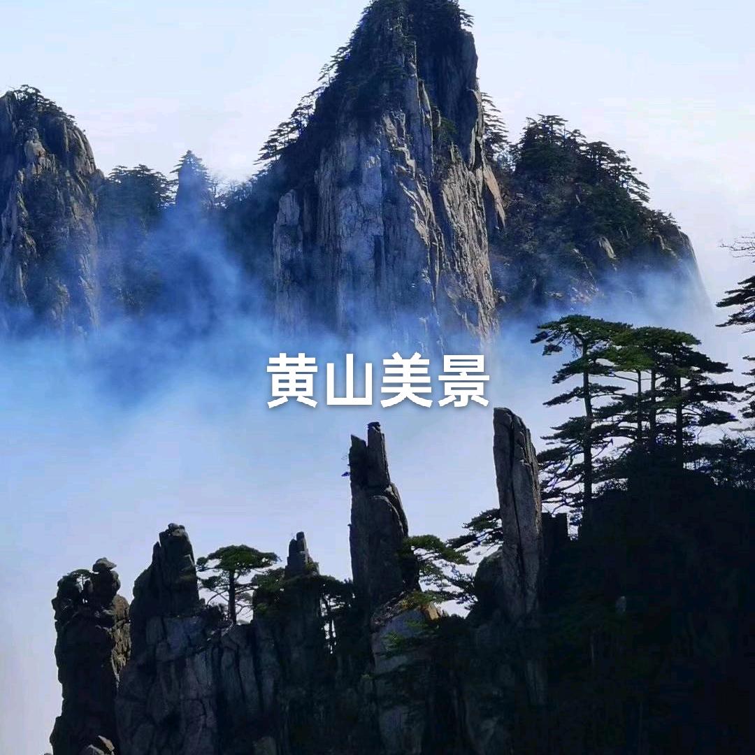 阿庆