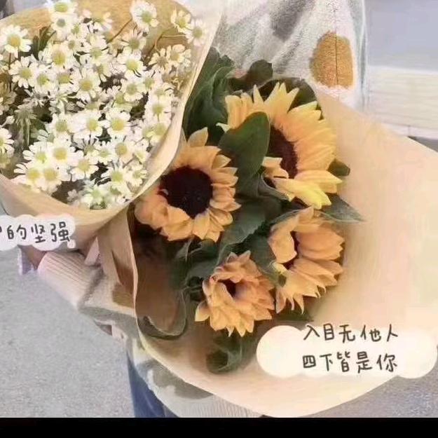 昆明斗南花市李燕鲜花