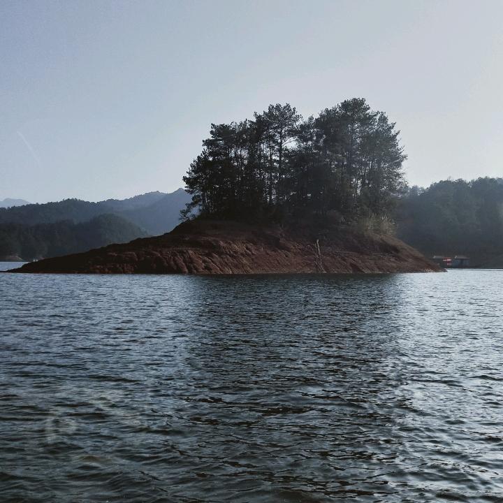 友莲
