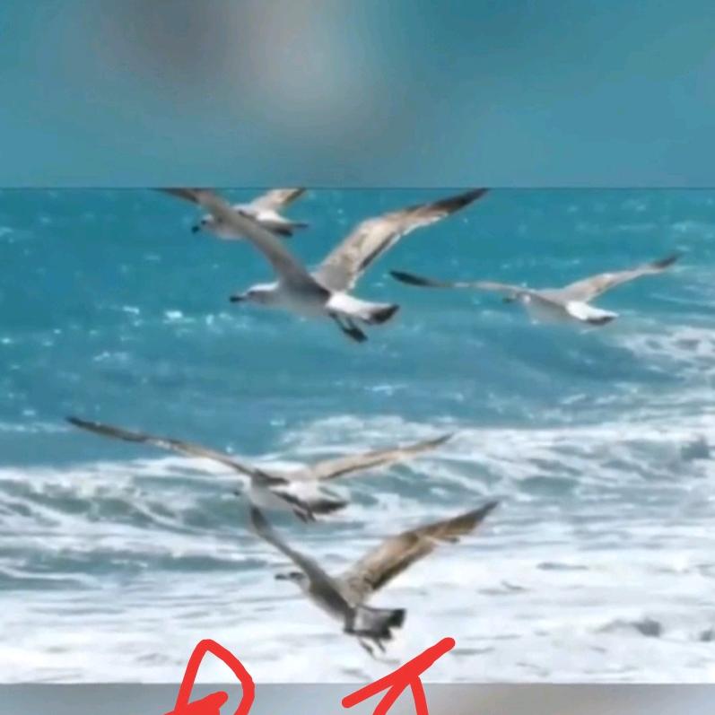 黄老头