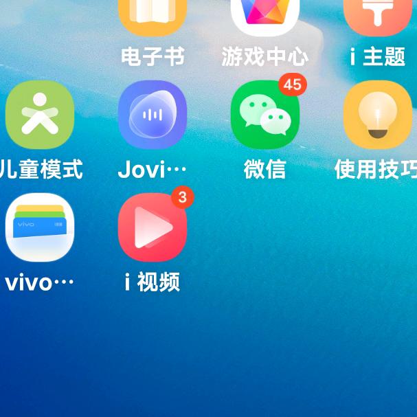 张大姐