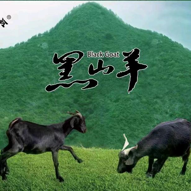 六安市裕安区森禾家庭农场