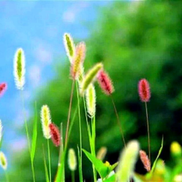 慢生活l
