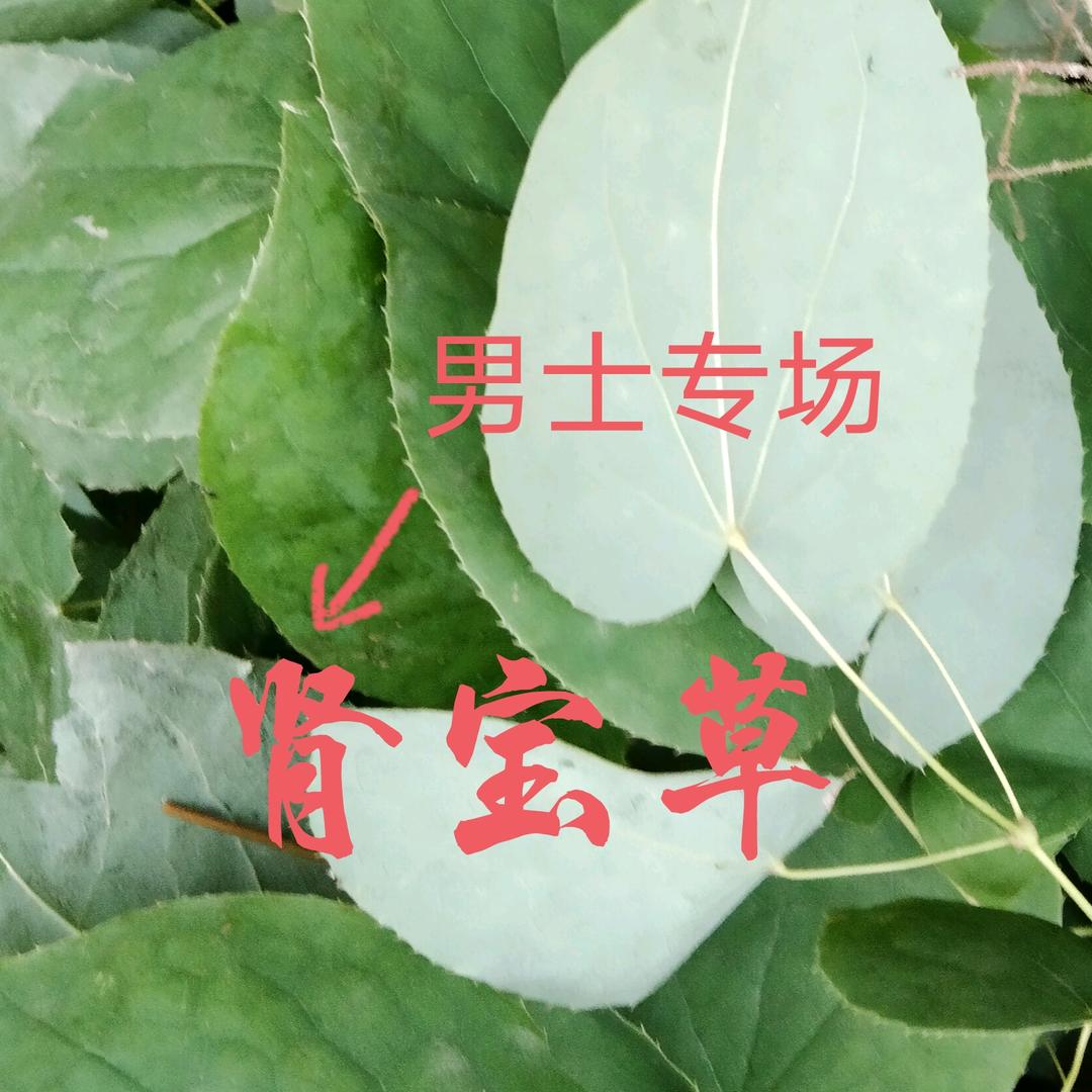 十堰￥中药材￥种子种苗