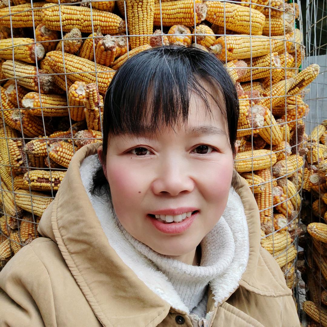 农村姐（商丘）
