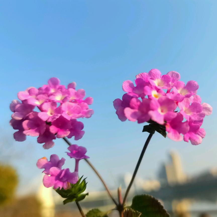 赣州🌸Miss Jie🌸🚚☎️