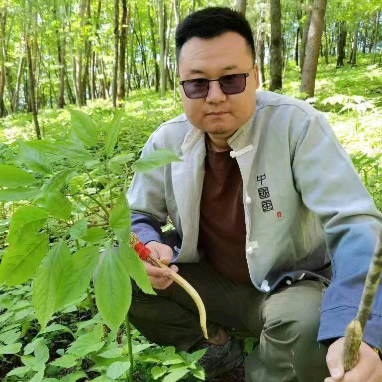 大斌好参手