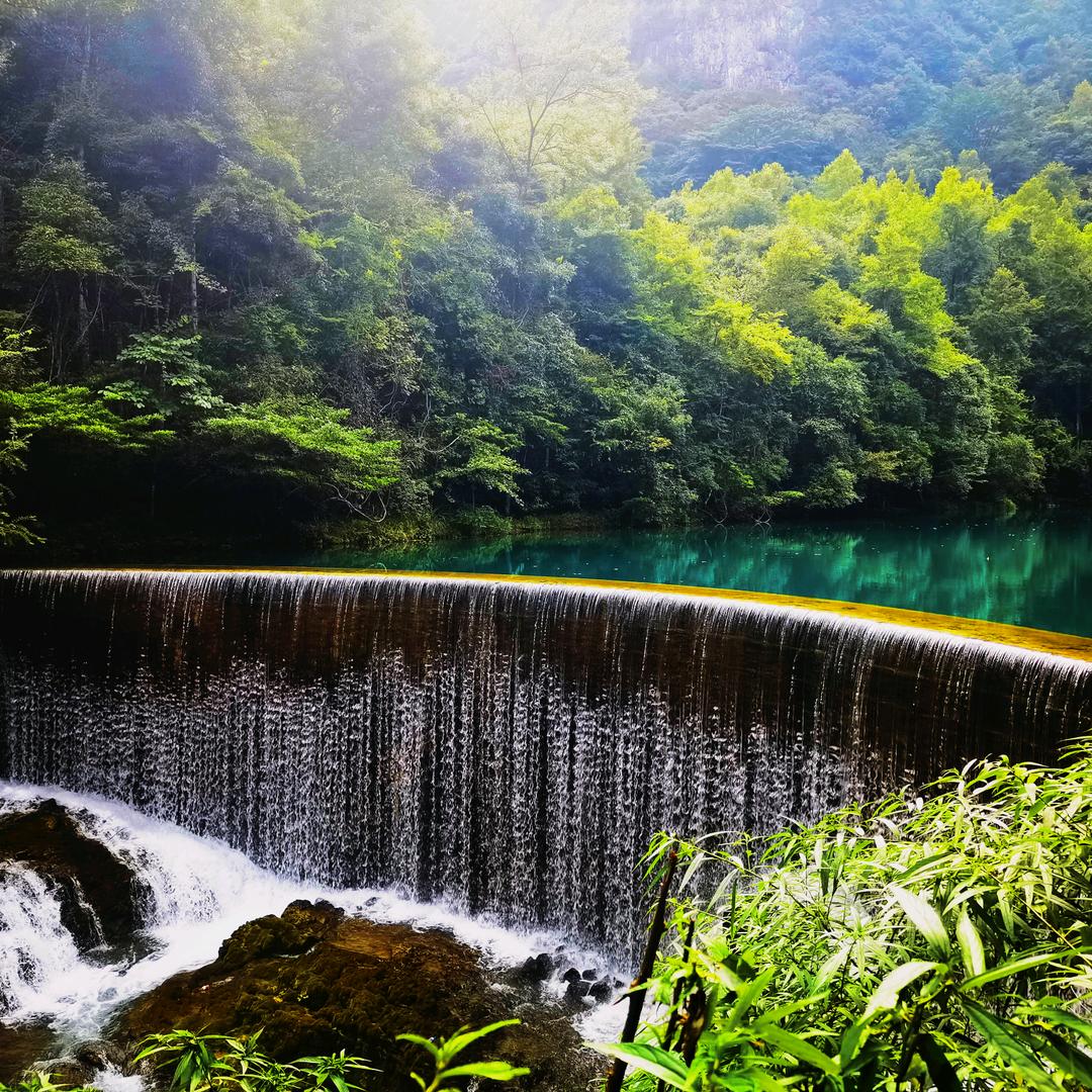 颂雅