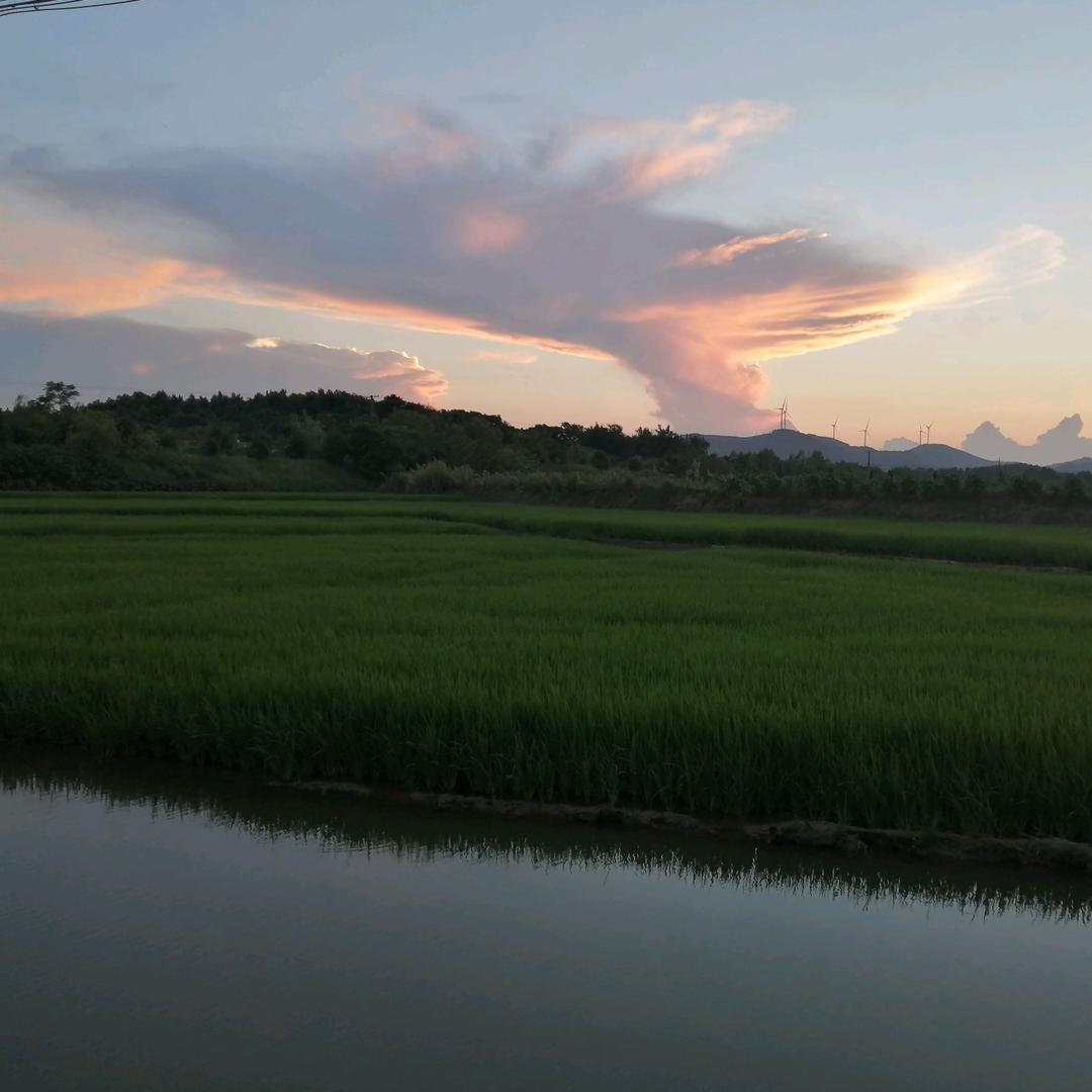 霞芳