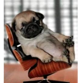 温州  汽车服务