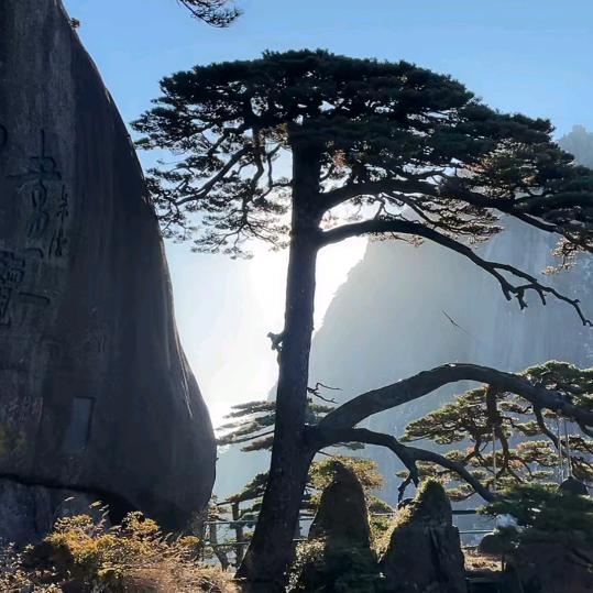 ☀️为你一生