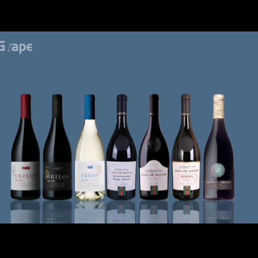 葡萄美酒夜光杯