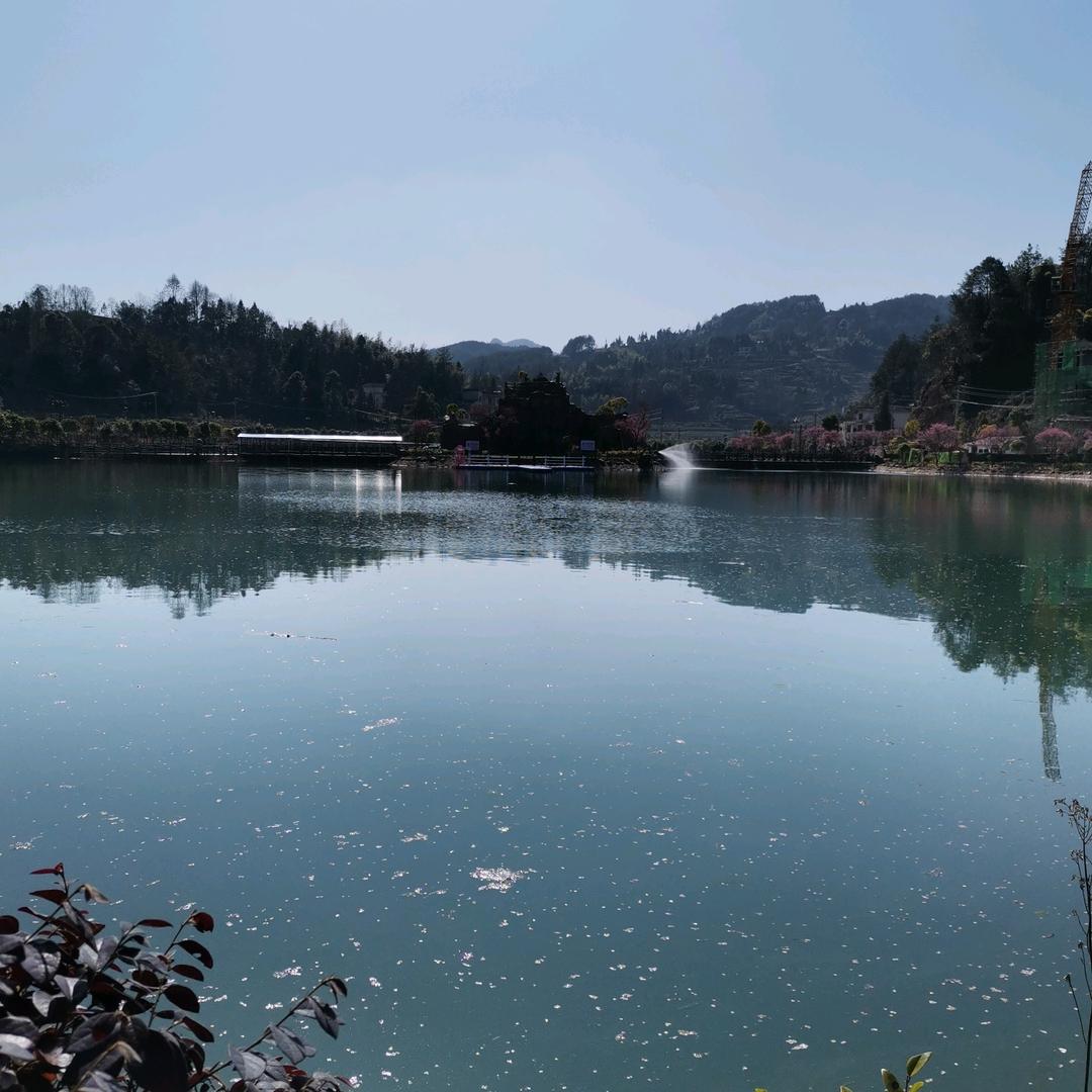 林间溪水