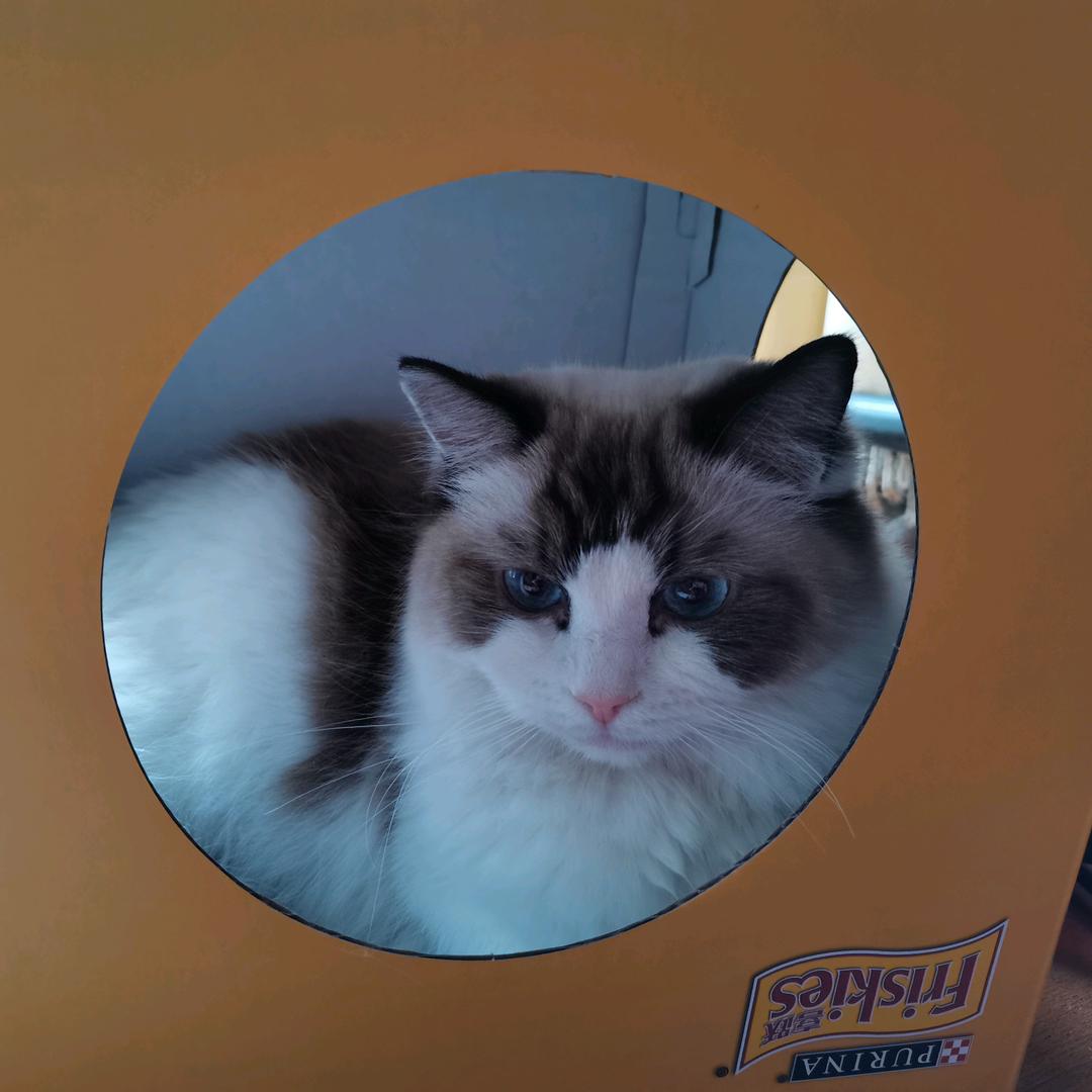 海上生明月，天涯共此时