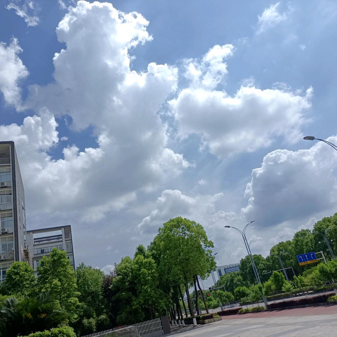 明