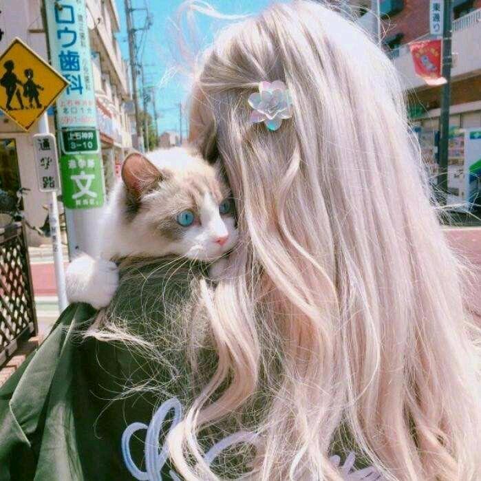 小猪吧啦