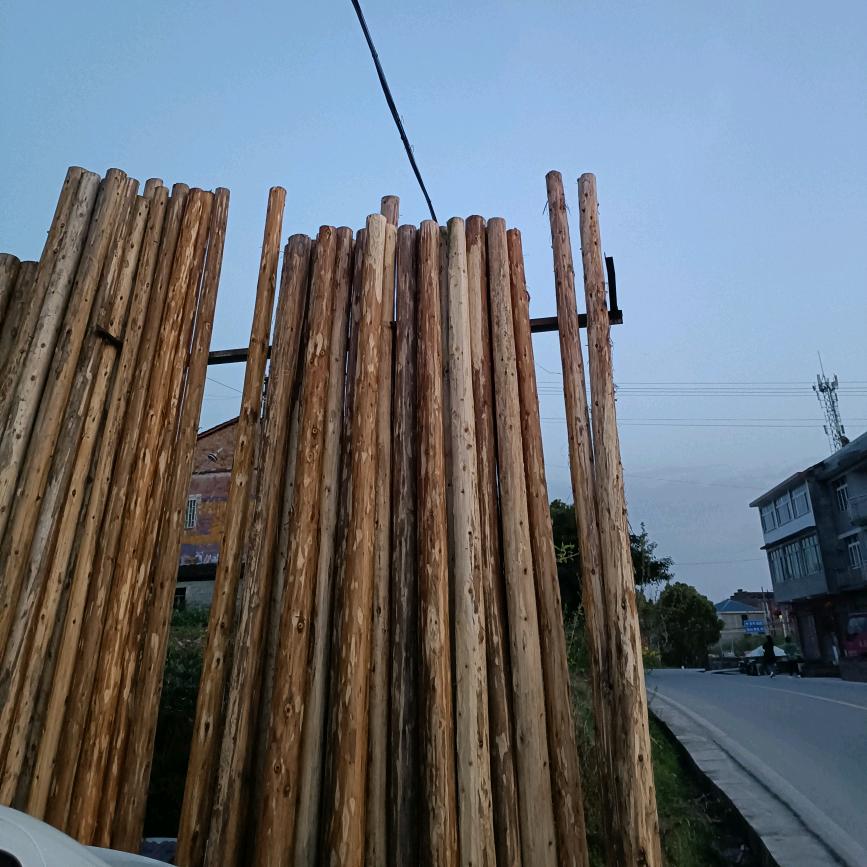 卖木材的肖姐
