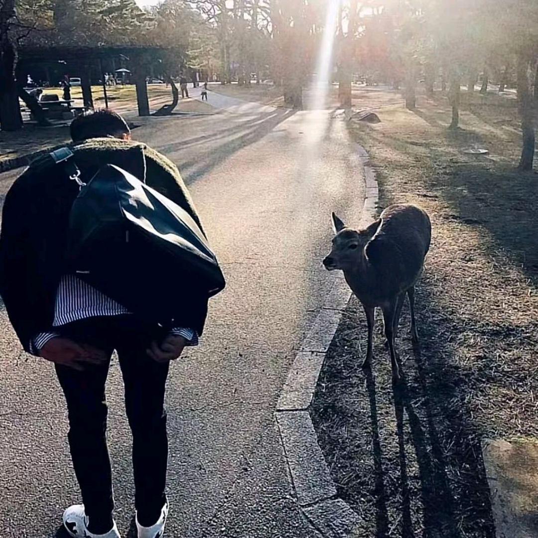 永惜.
