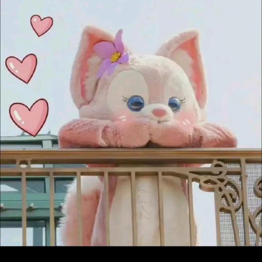 🌟 媛小花🍄 🌟