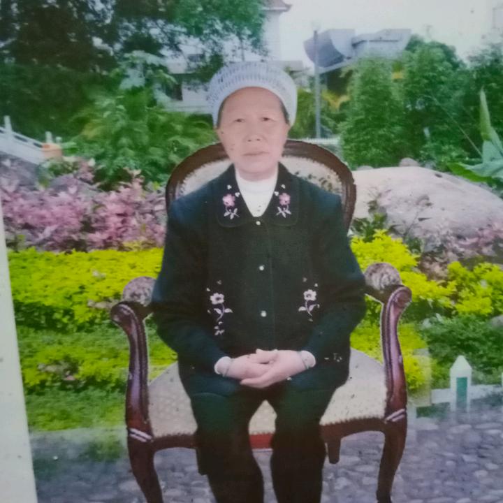 兴仁市马马崖镇金钟村(我家姓钟 )