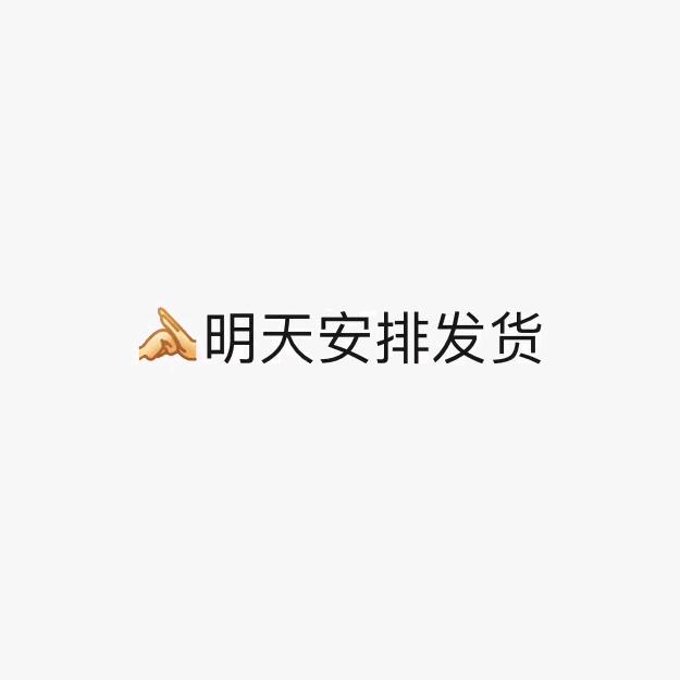 利奥布奇学校门锁
