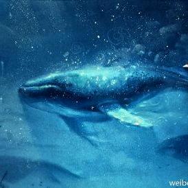 北冥有鱼