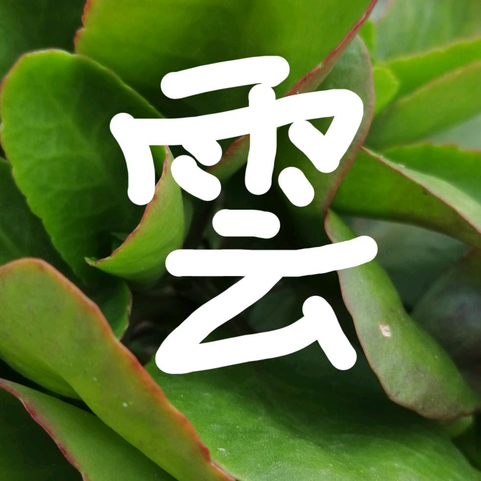 刘洁燕