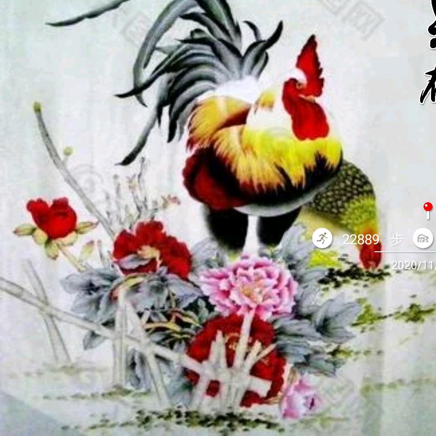 初来乍到
