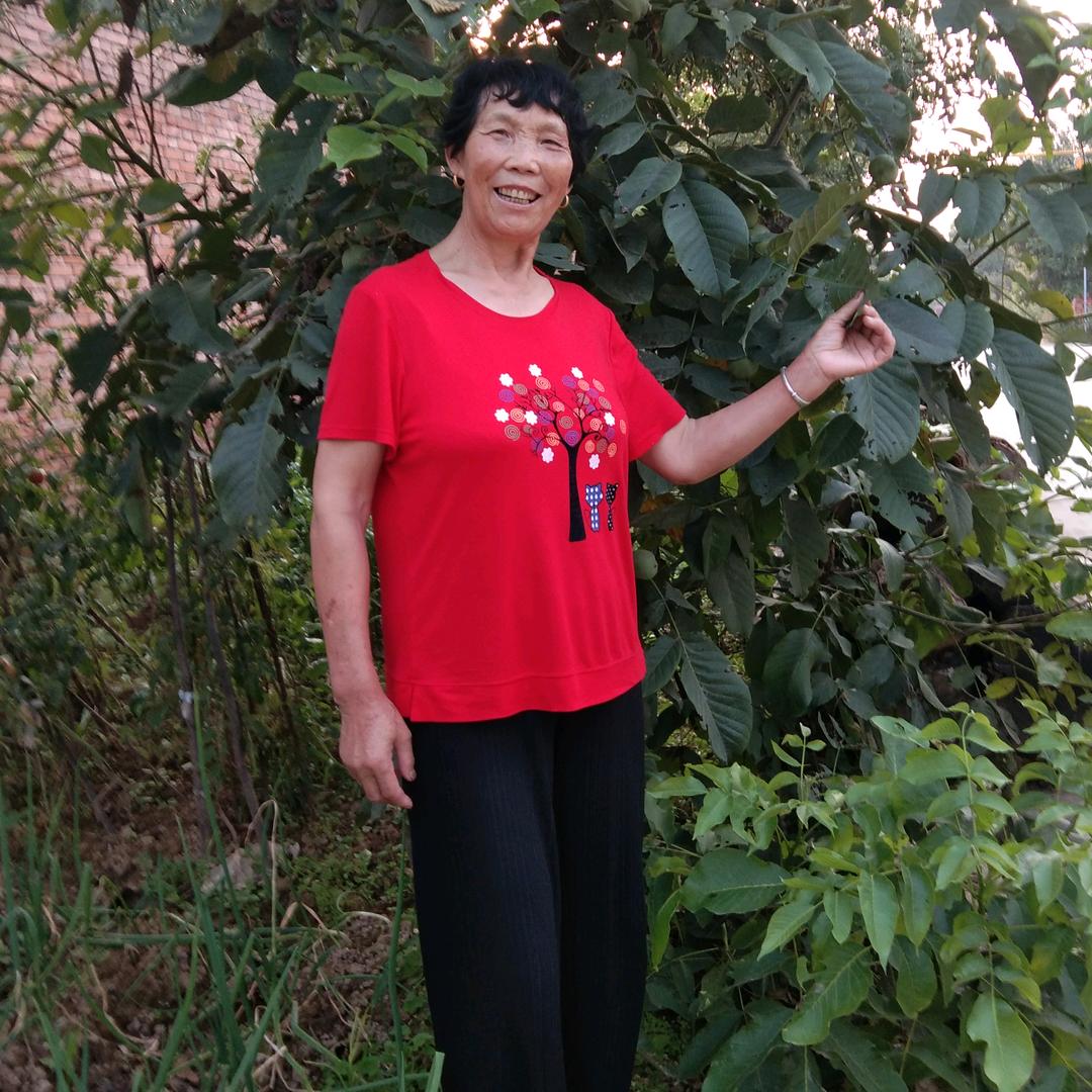 花好月圆