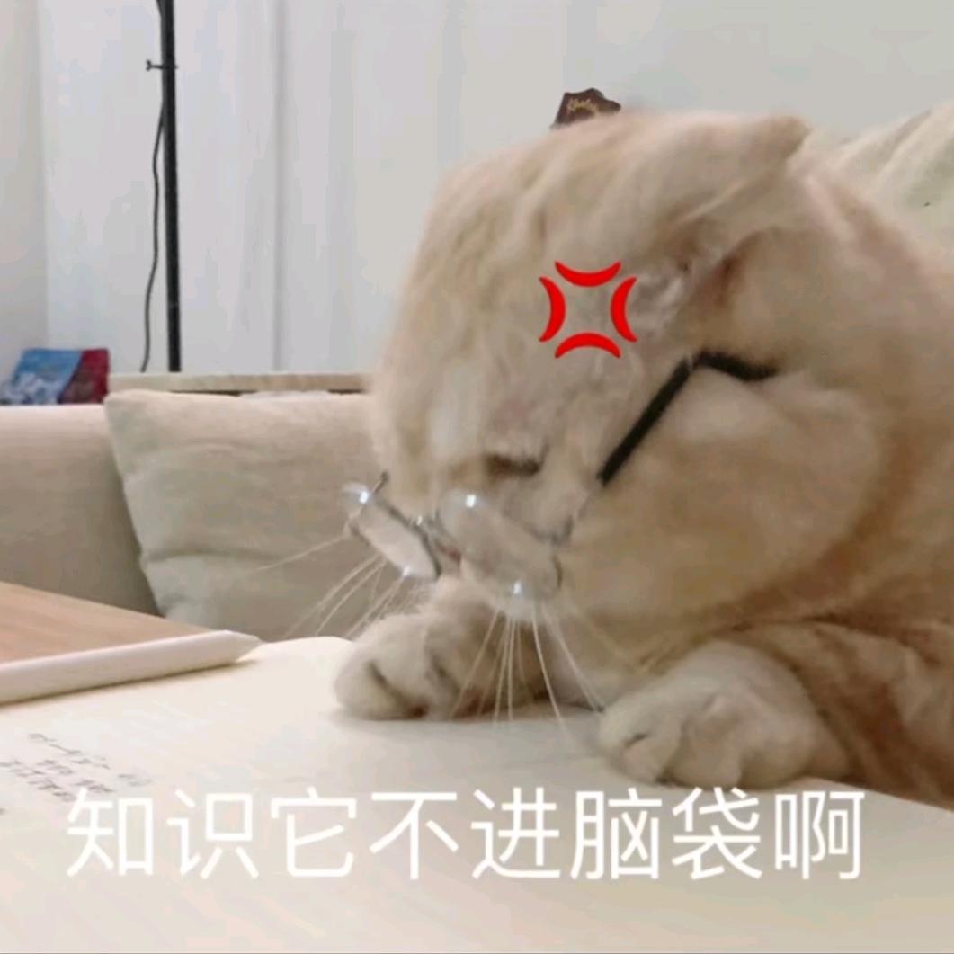 兜兜里有江湖