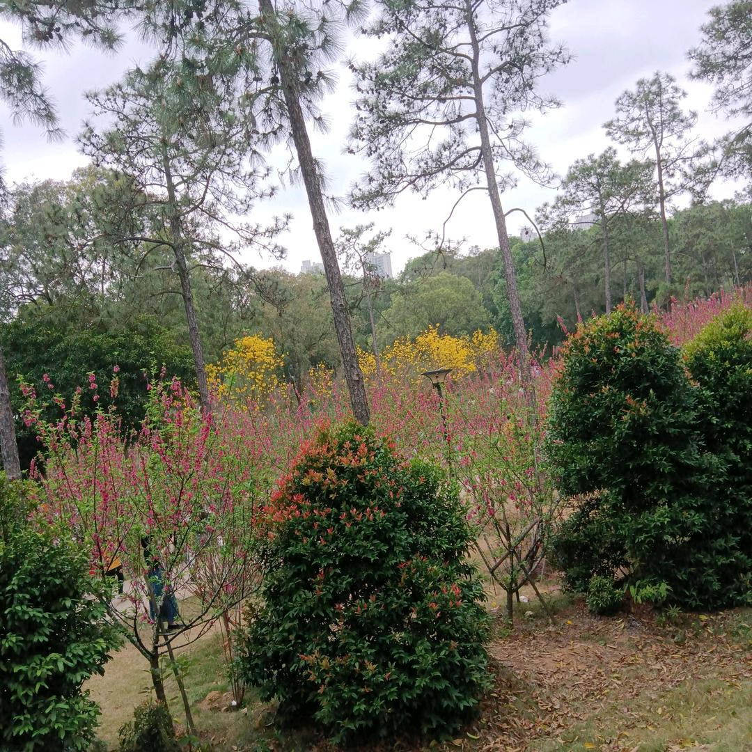 可有可吴（无所谓）