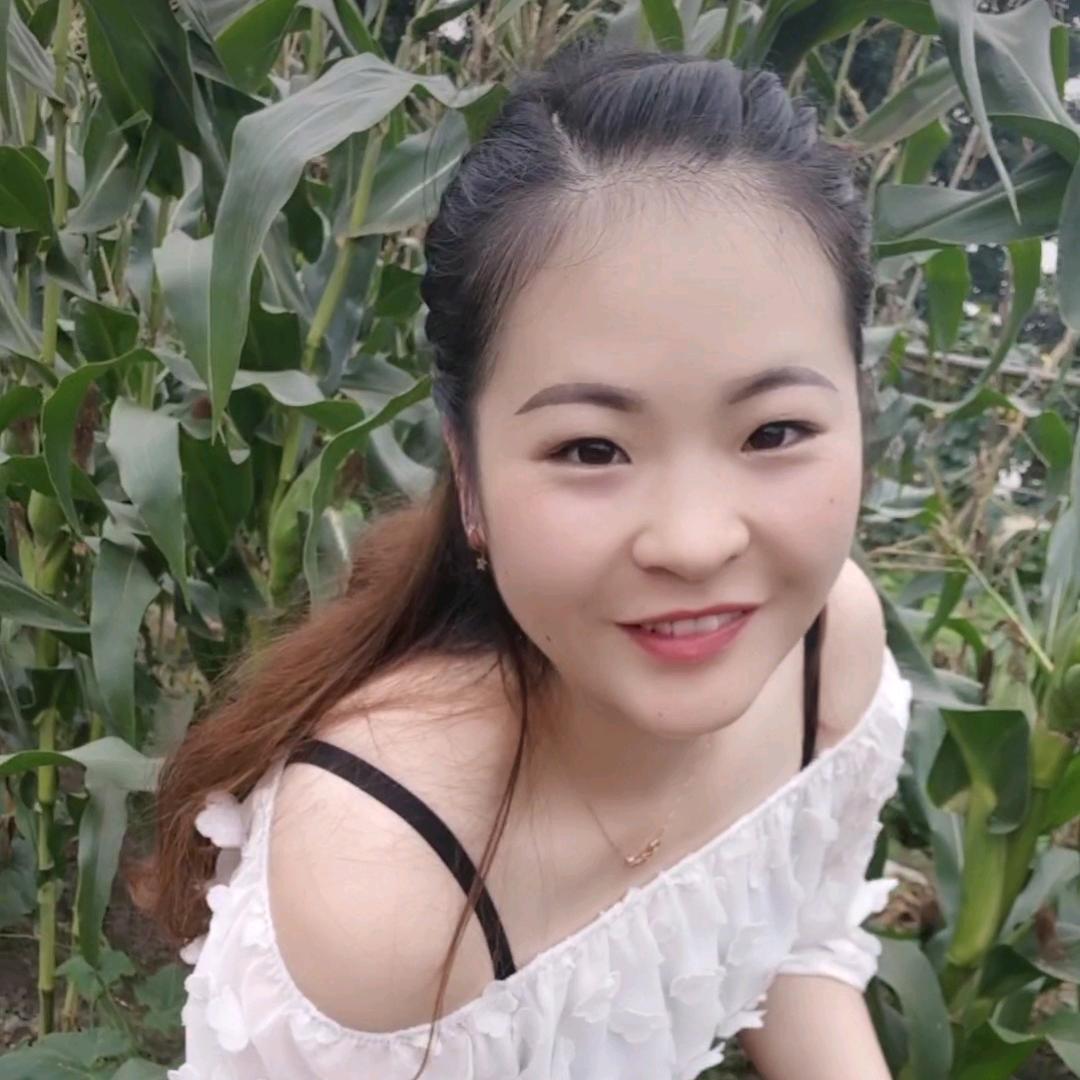 只为遇见你
