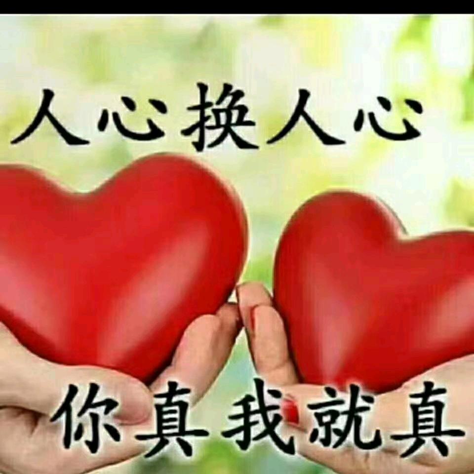 长年收牛羊，有货源的联系