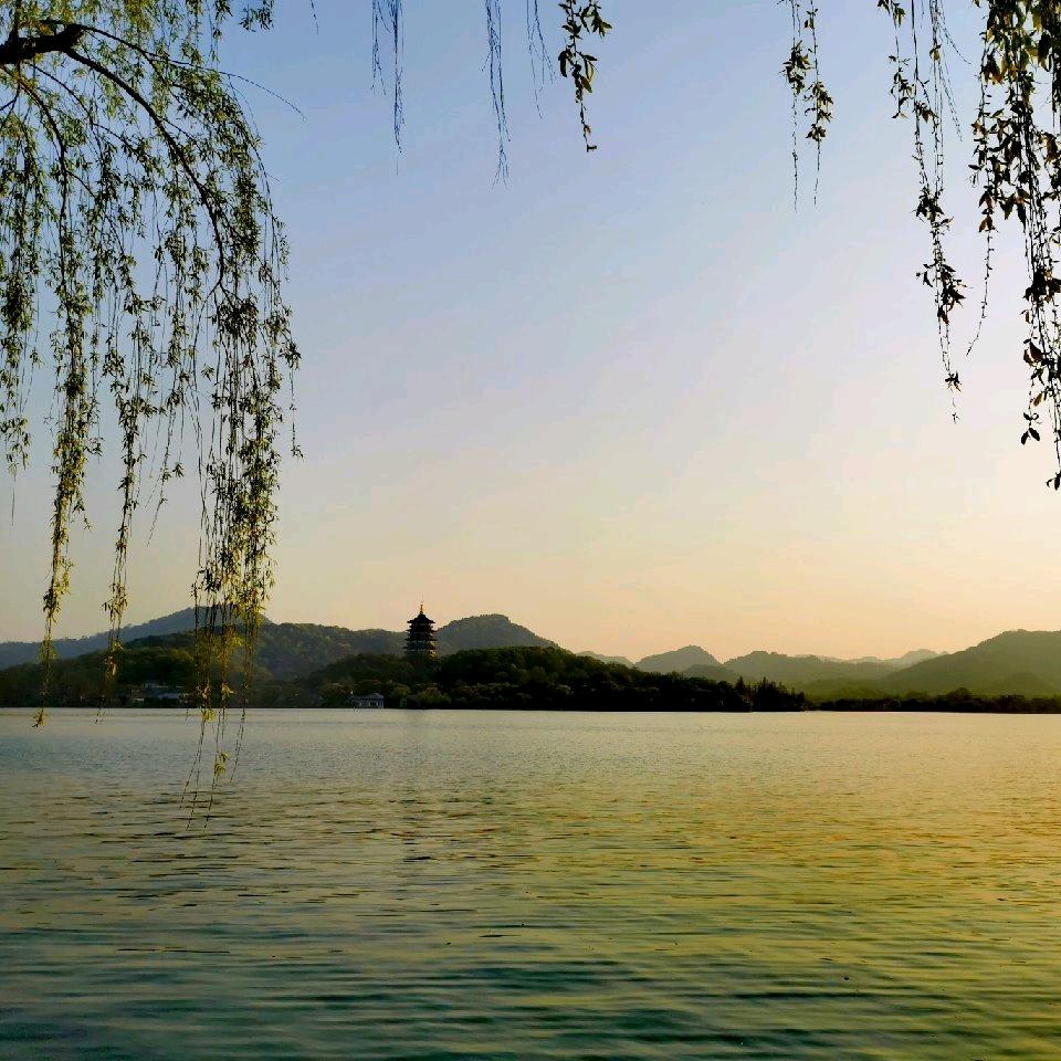 🇨🇳中年大叔