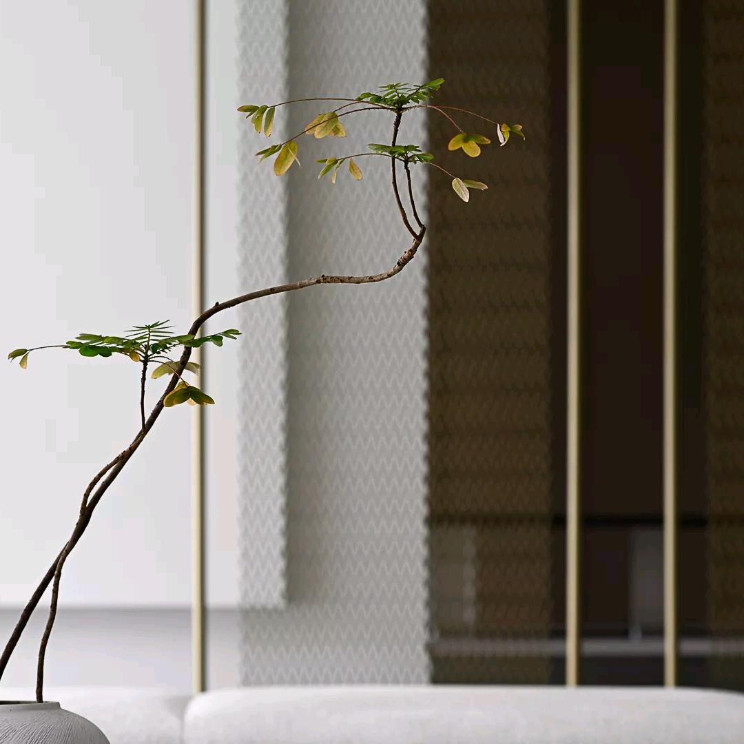 指尖荧光