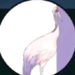 阿附