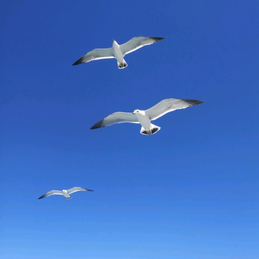 哎吆喂无法无天