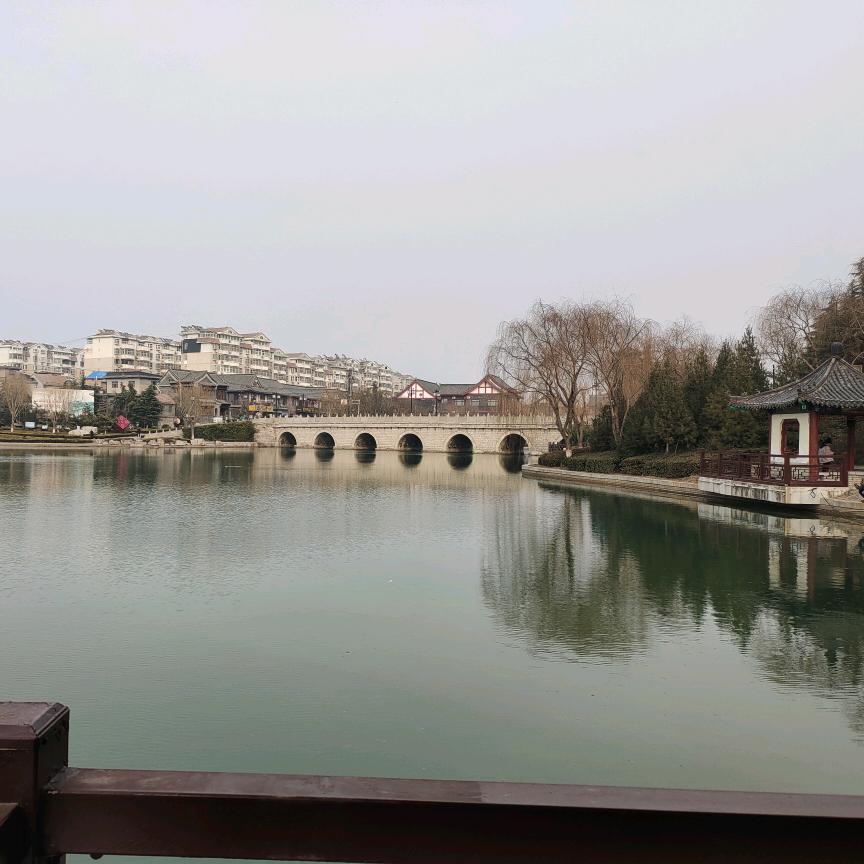 鲁G～智哥