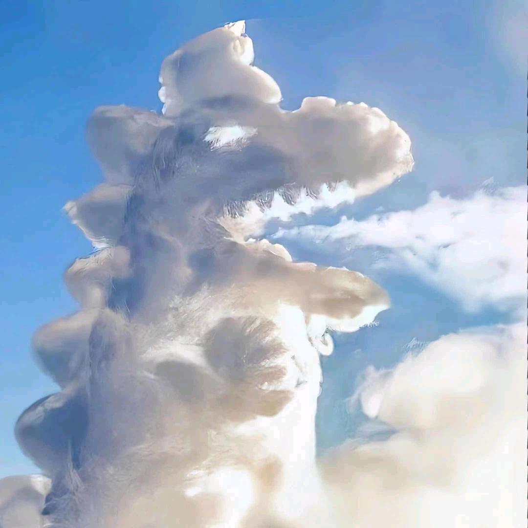 凤鸣宝