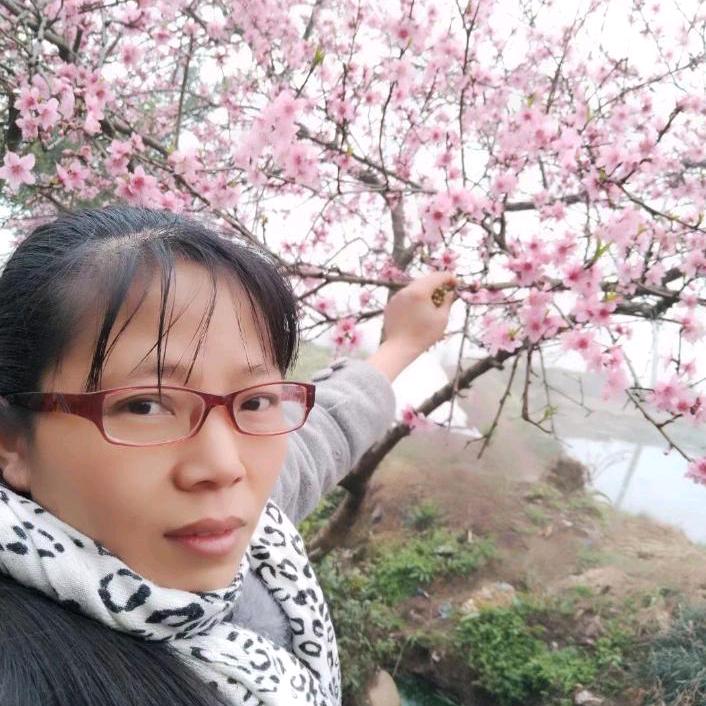 顺心1203