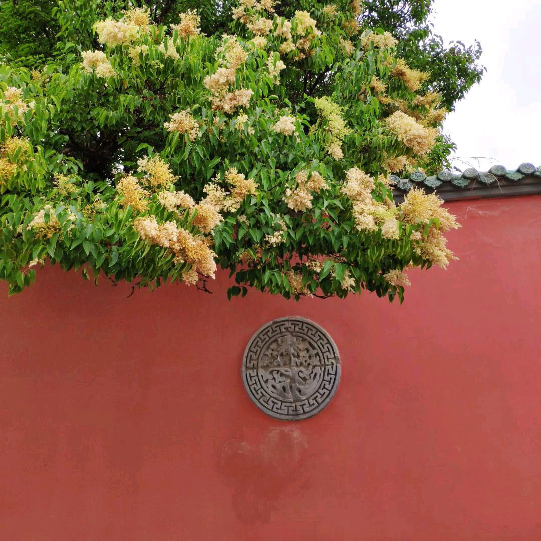 还没想好7890头像