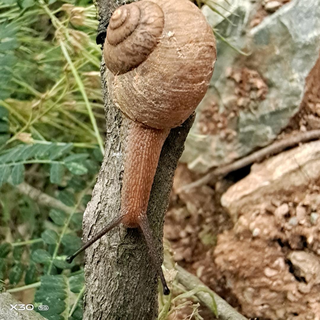 闫不咸