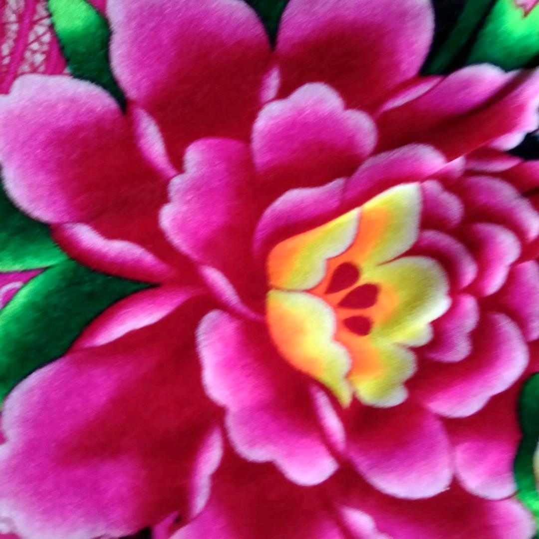 天天开心，过好每一天