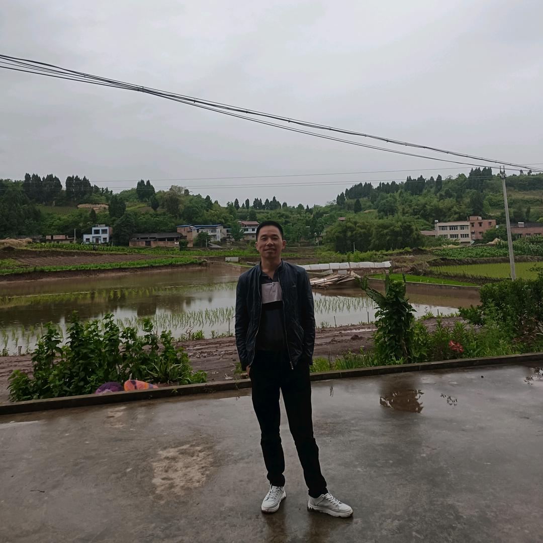 萝葱绿色蔬菜配送中心