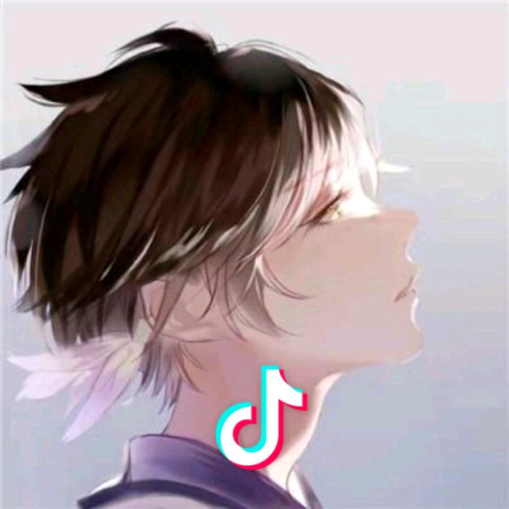 羽随灬